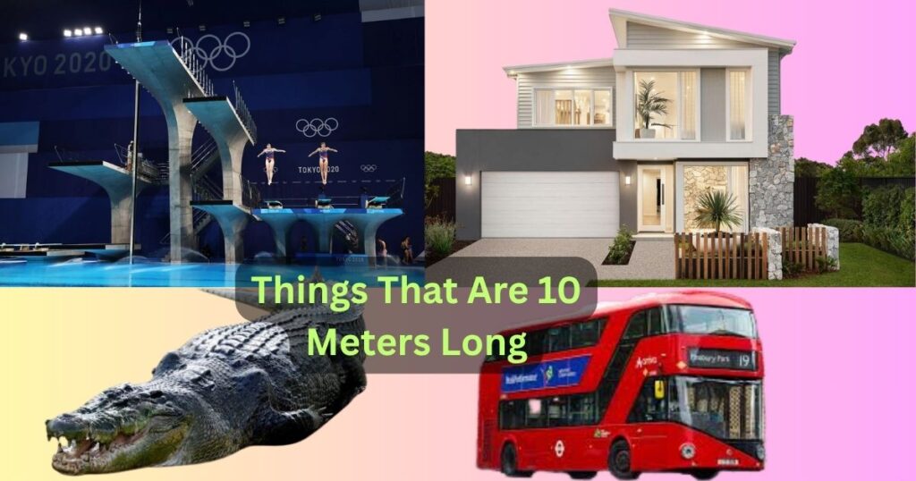 Things That Are 10 Meters Long