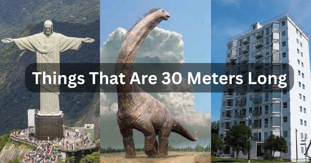 Things That Are 30 Meters Long