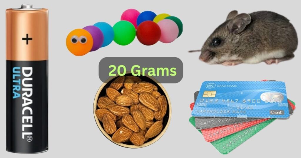 Things That Weigh About 20 Grams