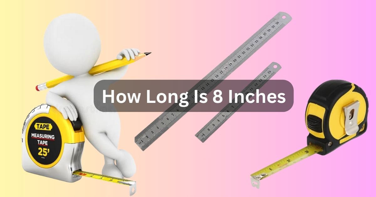8 Inches