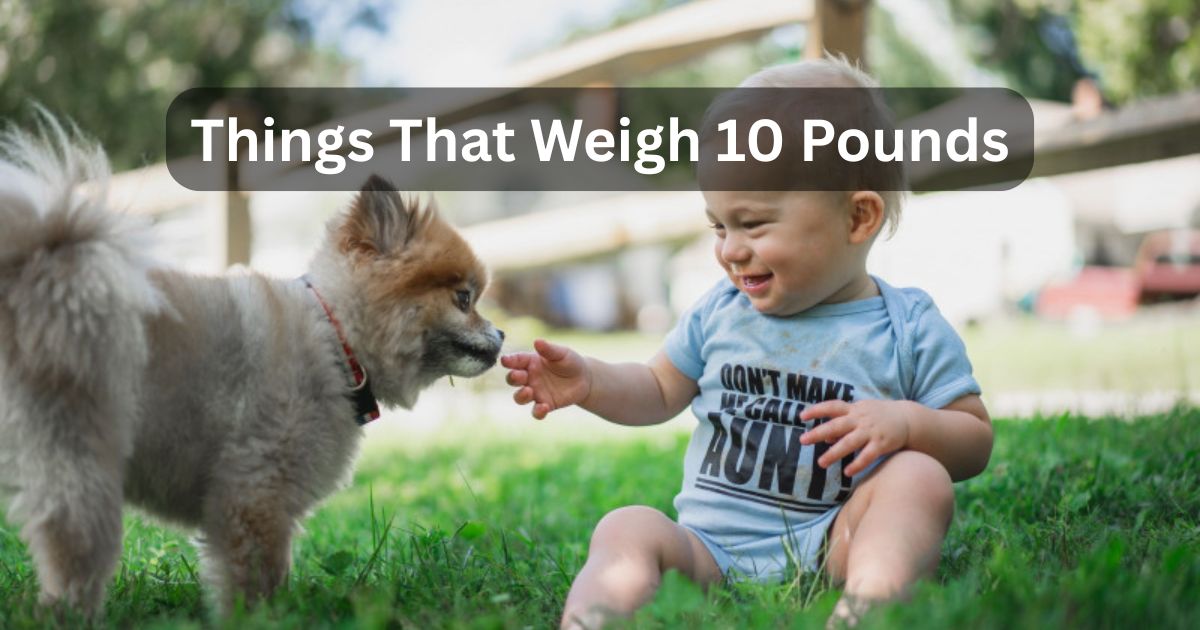 How Much Is 10 Pounds