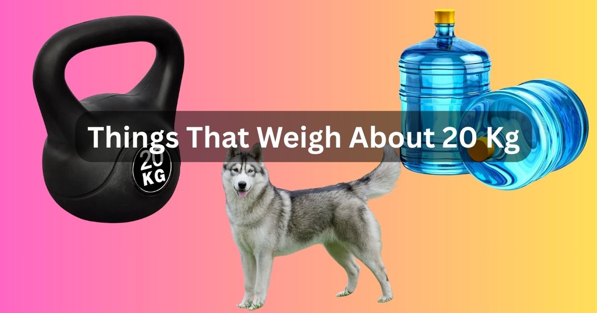How Much Is 20 Kg
