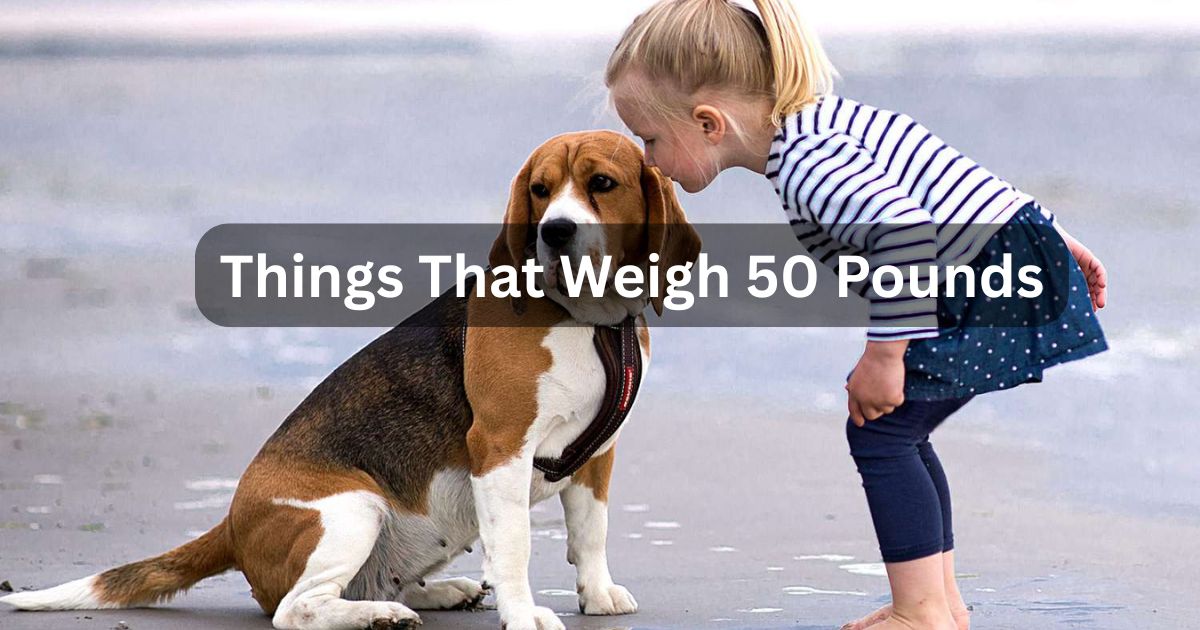 How Much Is 50 lbs