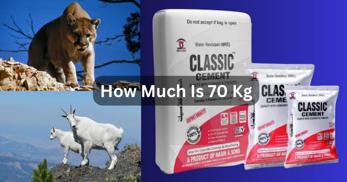How Much Is 70 Kg