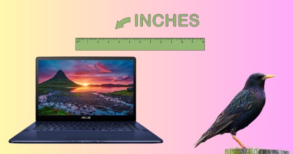 Things That Are 8 Inches Long
