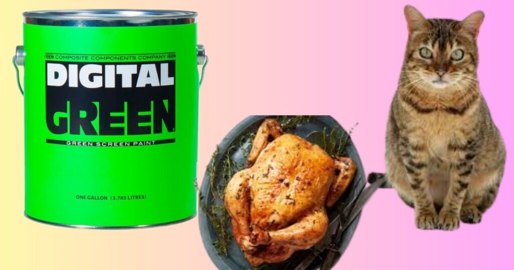 Things That Weigh 10 Pounds