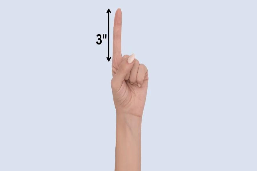 3 Inches Long